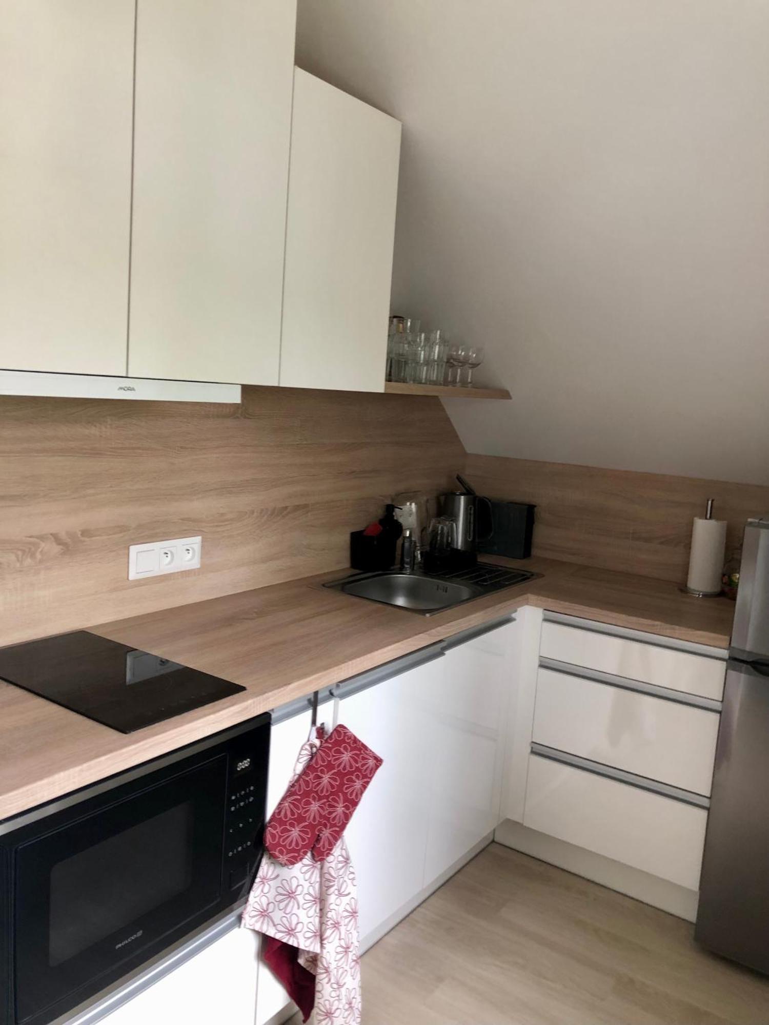 Apartman Krusne Hory - Erzgebirge Horní Blatná Kültér fotó